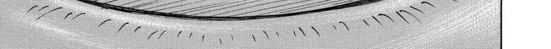 Read Space Brothers chapter 242 image 13 on Lezhin