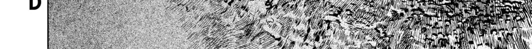 Read Space Brothers chapter 261 image 37 on Lezhin