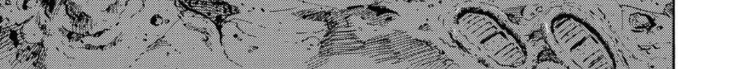 Read Space Brothers chapter 264 image 13 on Lezhin