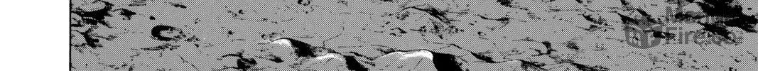 Read Space Brothers chapter 307 image 23 on Lezhin