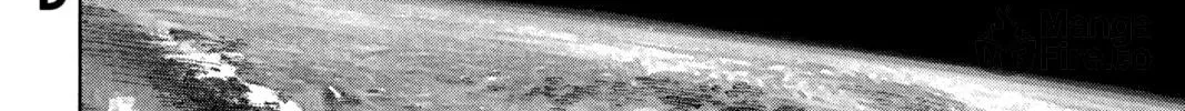 Read Space Brothers chapter 315 image 39 on Lezhin