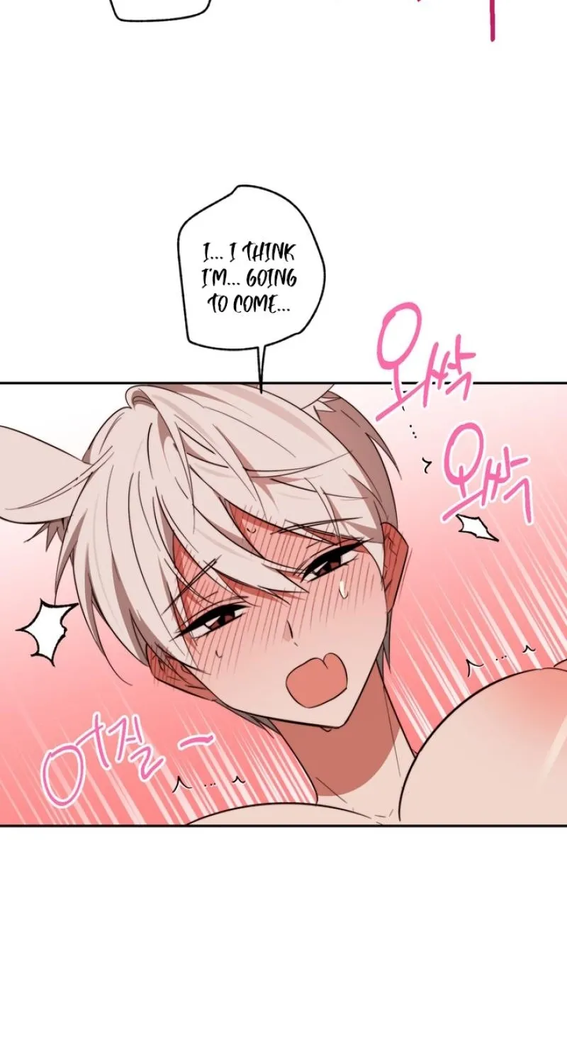 Read Space Bunny chapter 21 image 42 on Lezhin
