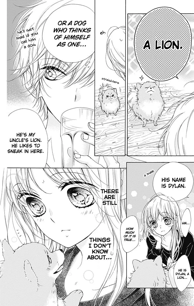 Read Sparkly Lion Boy chapter 13 image 12 on Lezhin