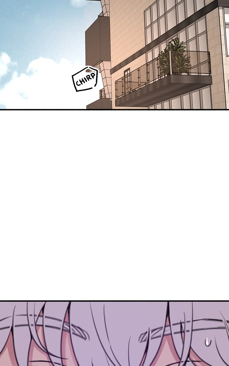Special Re-Launch:Muse on Fame Ep. 12- Blushing Faces page 32 - 