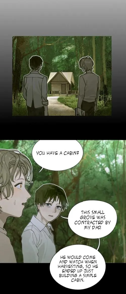 Read Spider Web chapter 11 image 19 on Lezhin