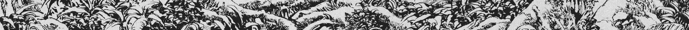 Read SPRIGGAN chapter 22 image 135 on Lezhin