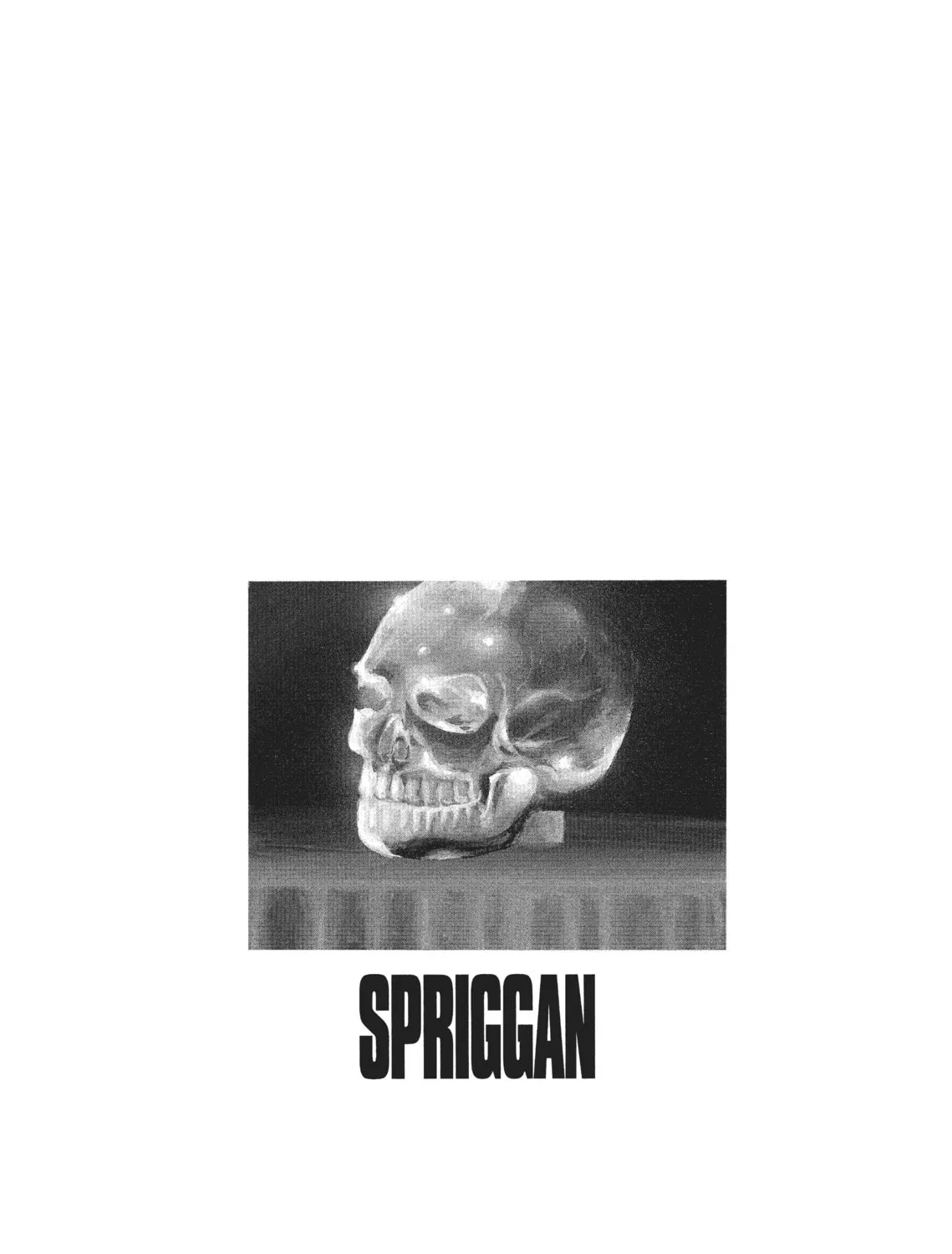 Read SPRIGGAN chapter 23 image 84 on Lezhin