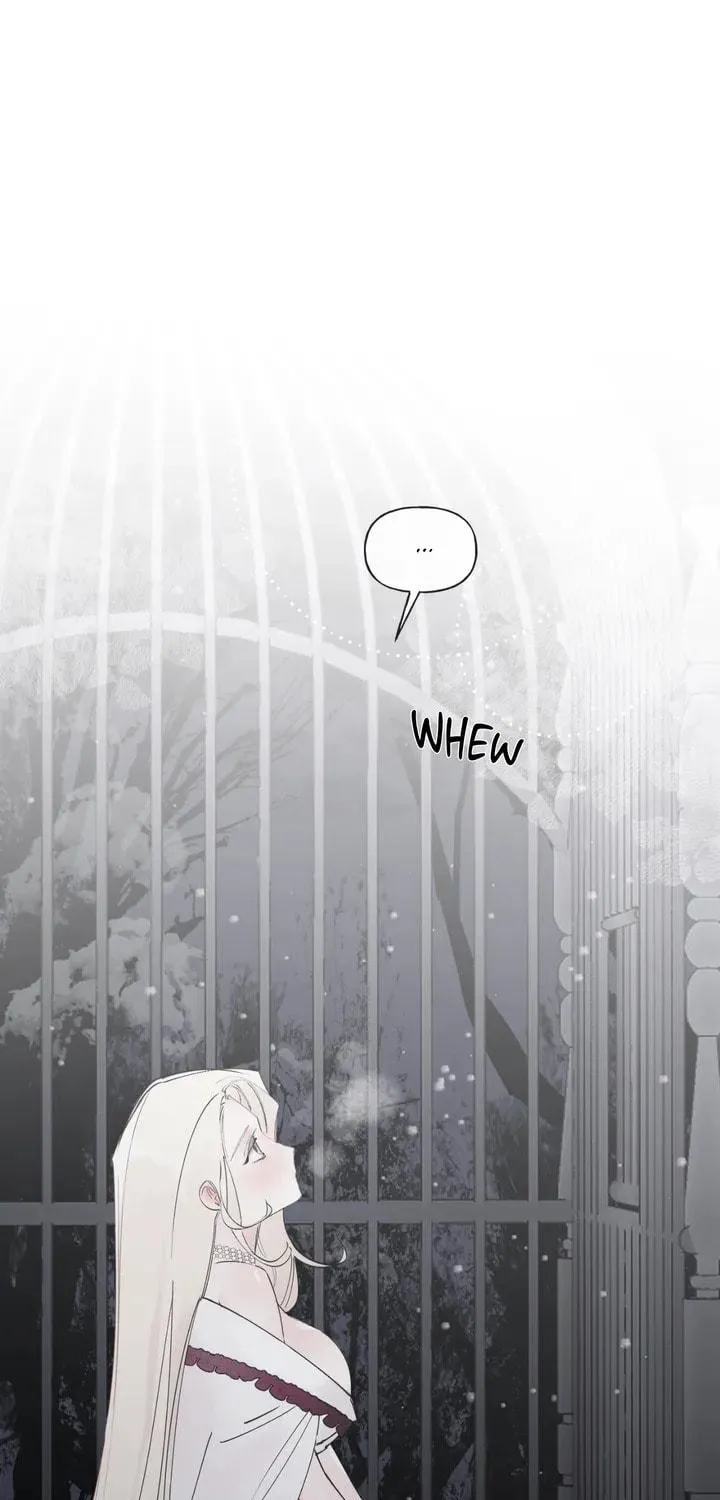 Spring Amidst My Wintertide Chapter 1 page 39 - 