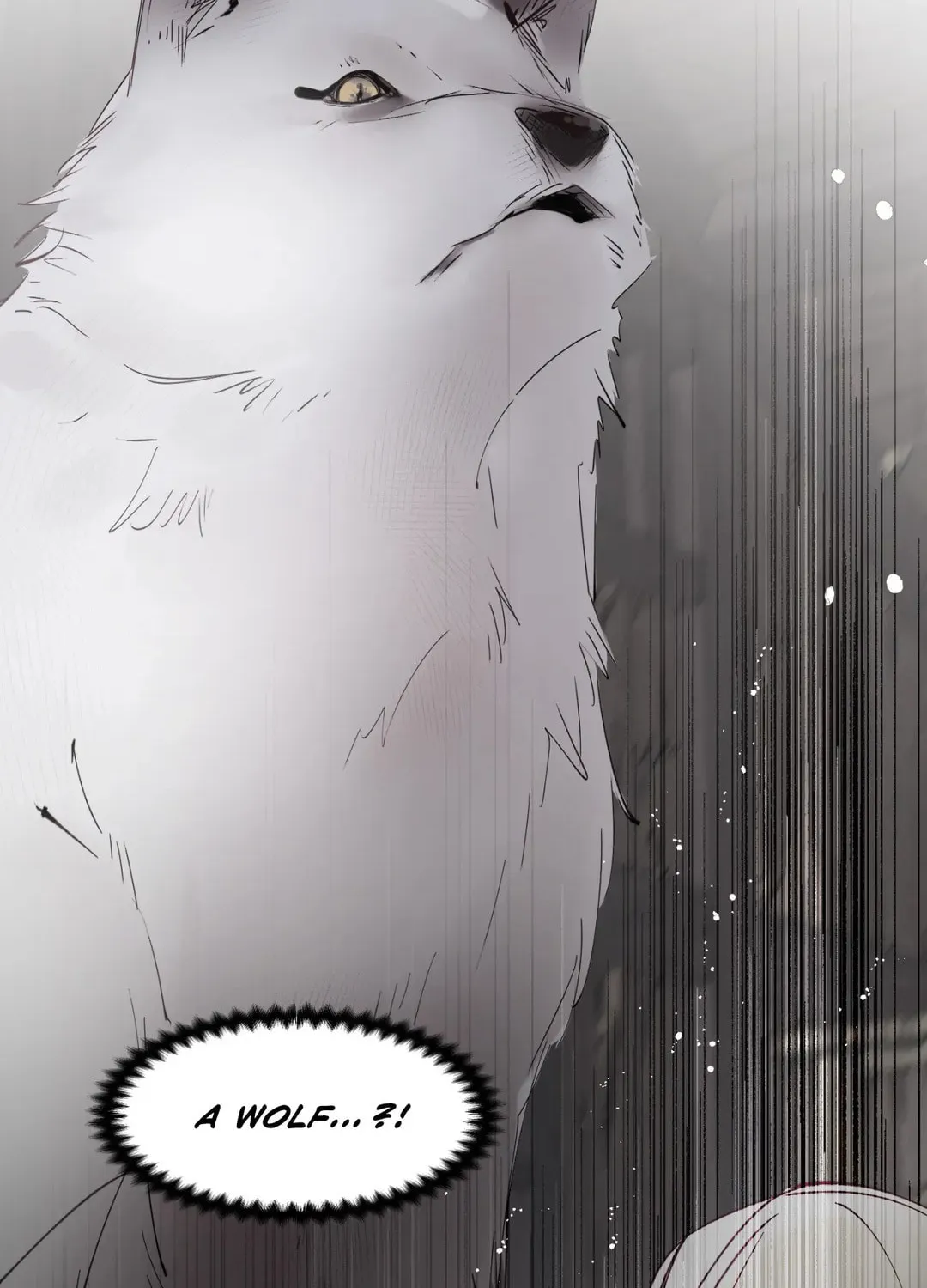 Spring Amidst My Wintertide Chapter 2 page 11 - 