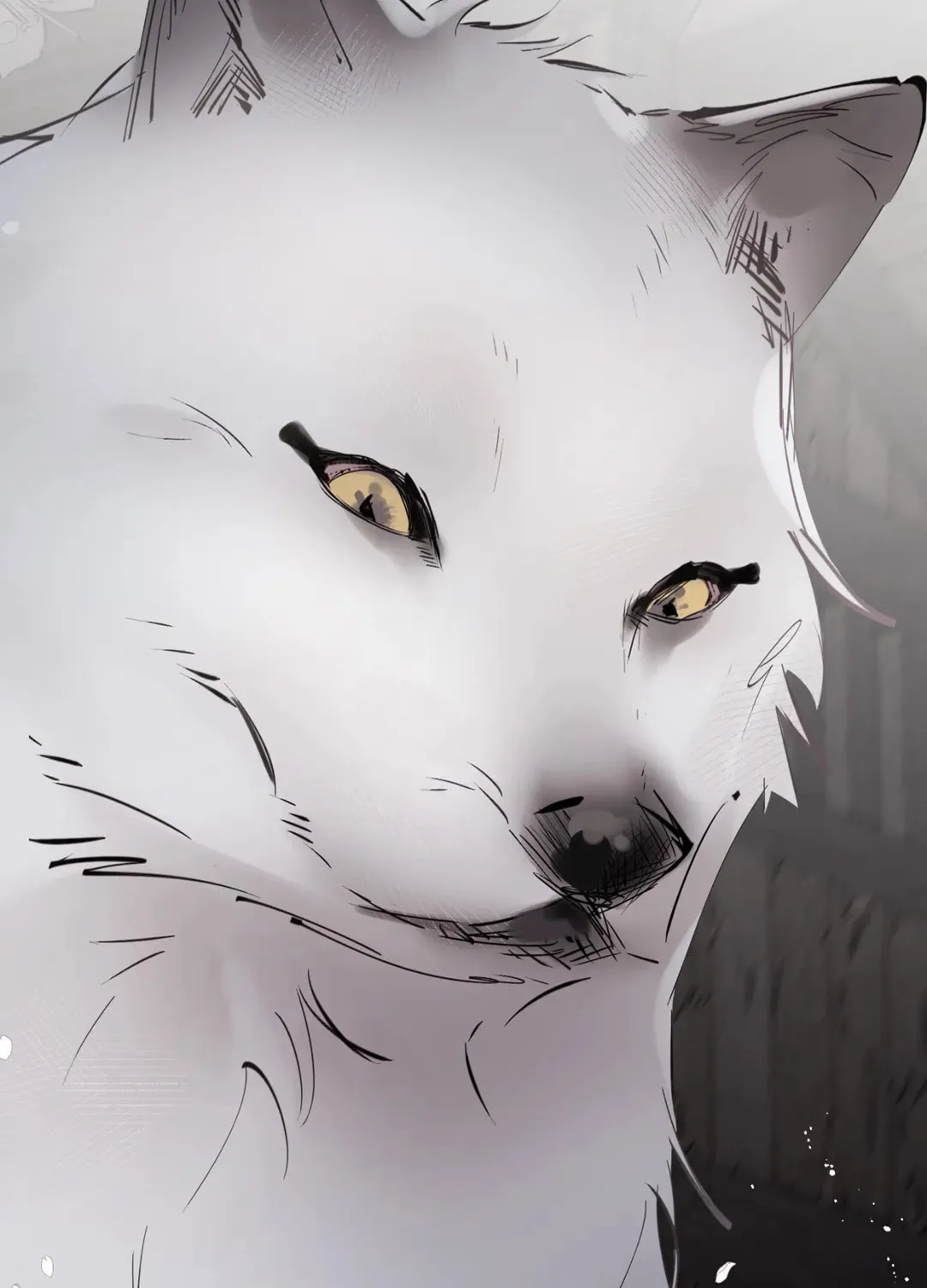 Spring Amidst My Wintertide Chapter 2 page 14 - 