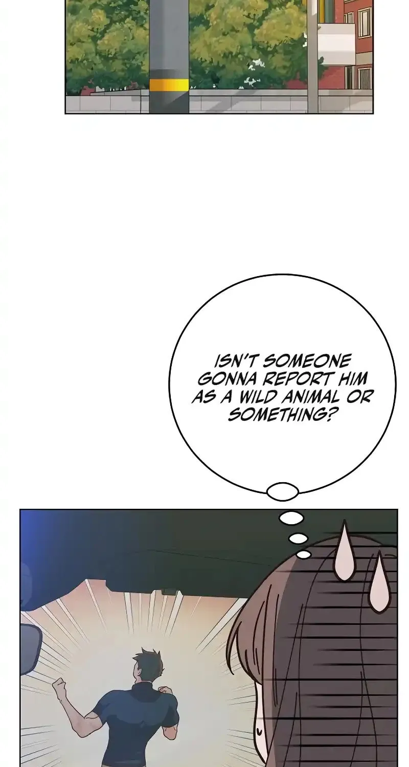 Read Spring Fever chapter 11 image 65 on Lezhin