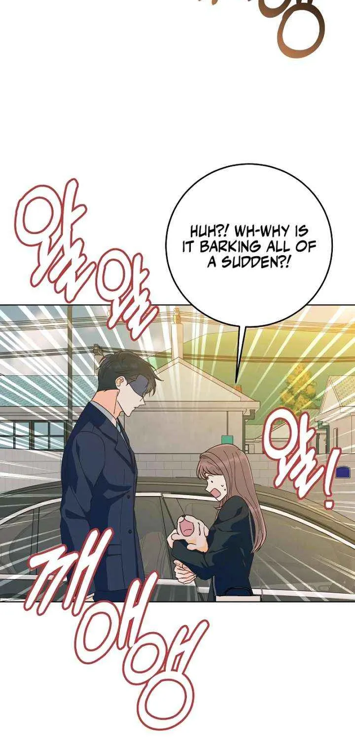 Read Spring Fever chapter 20 image 36 on Lezhin