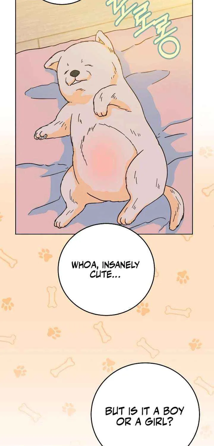 Read Spring Fever chapter 20 image 65 on Lezhin