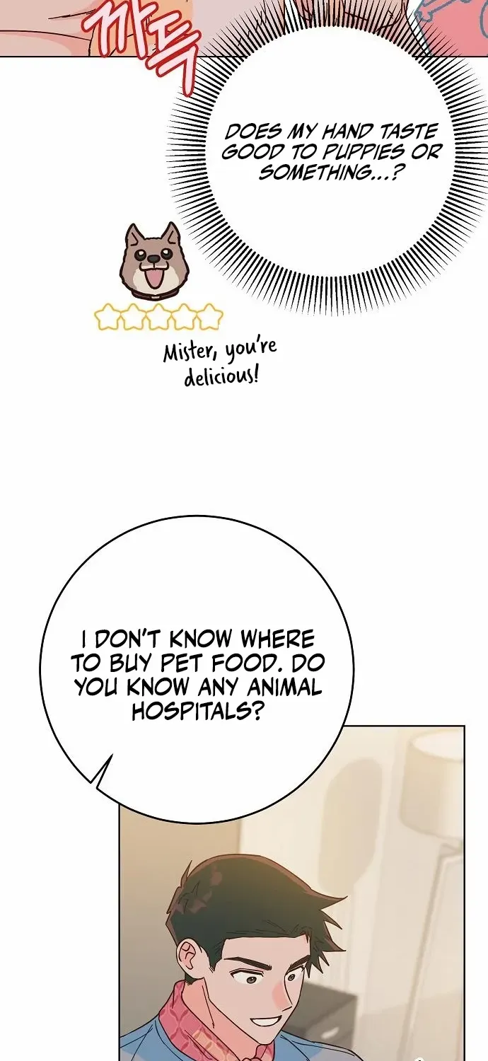 Read Spring Fever chapter 21 image 13 on Lezhin
