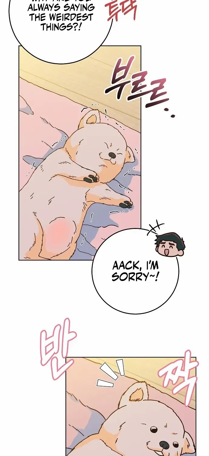 Read Spring Fever chapter 21 image 3 on Lezhin