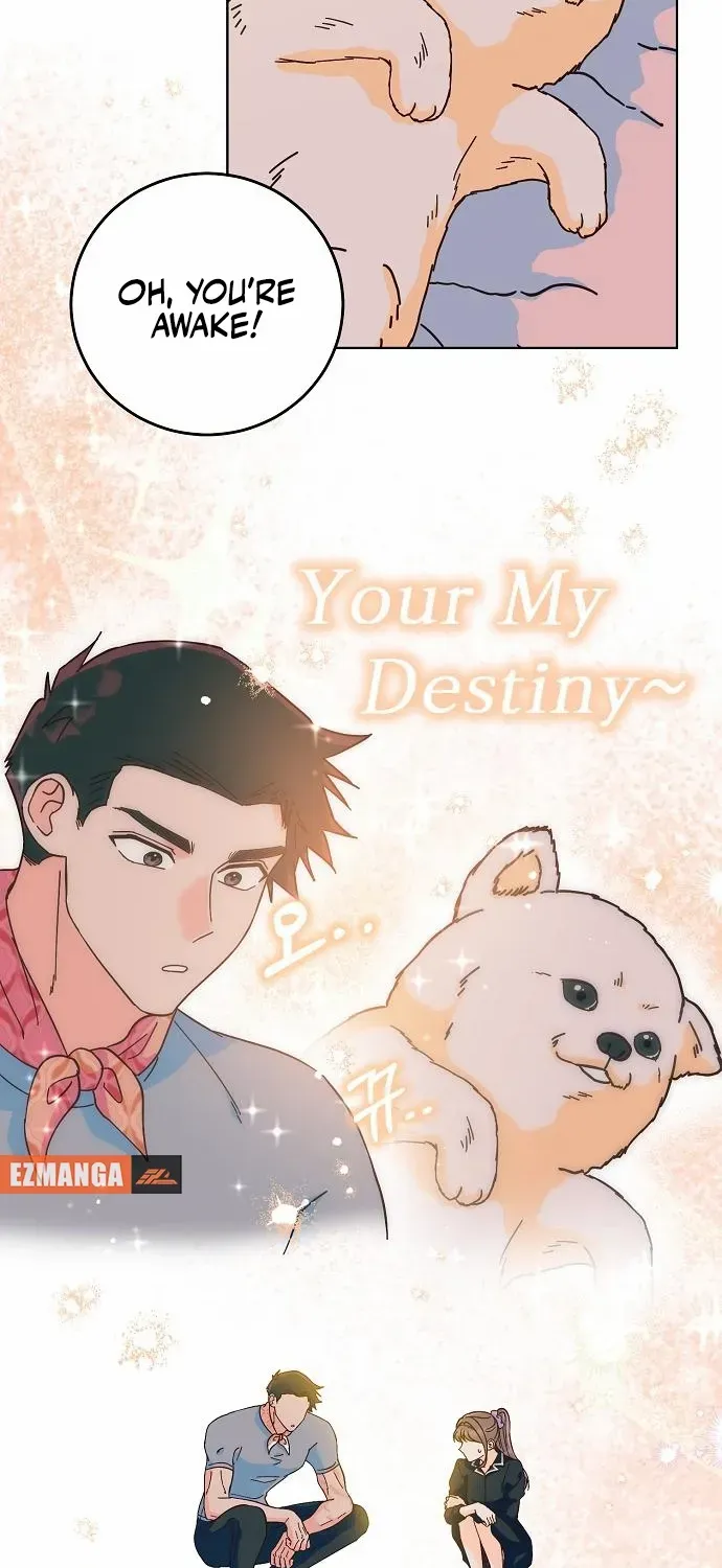 Read Spring Fever chapter 21 image 4 on Lezhin