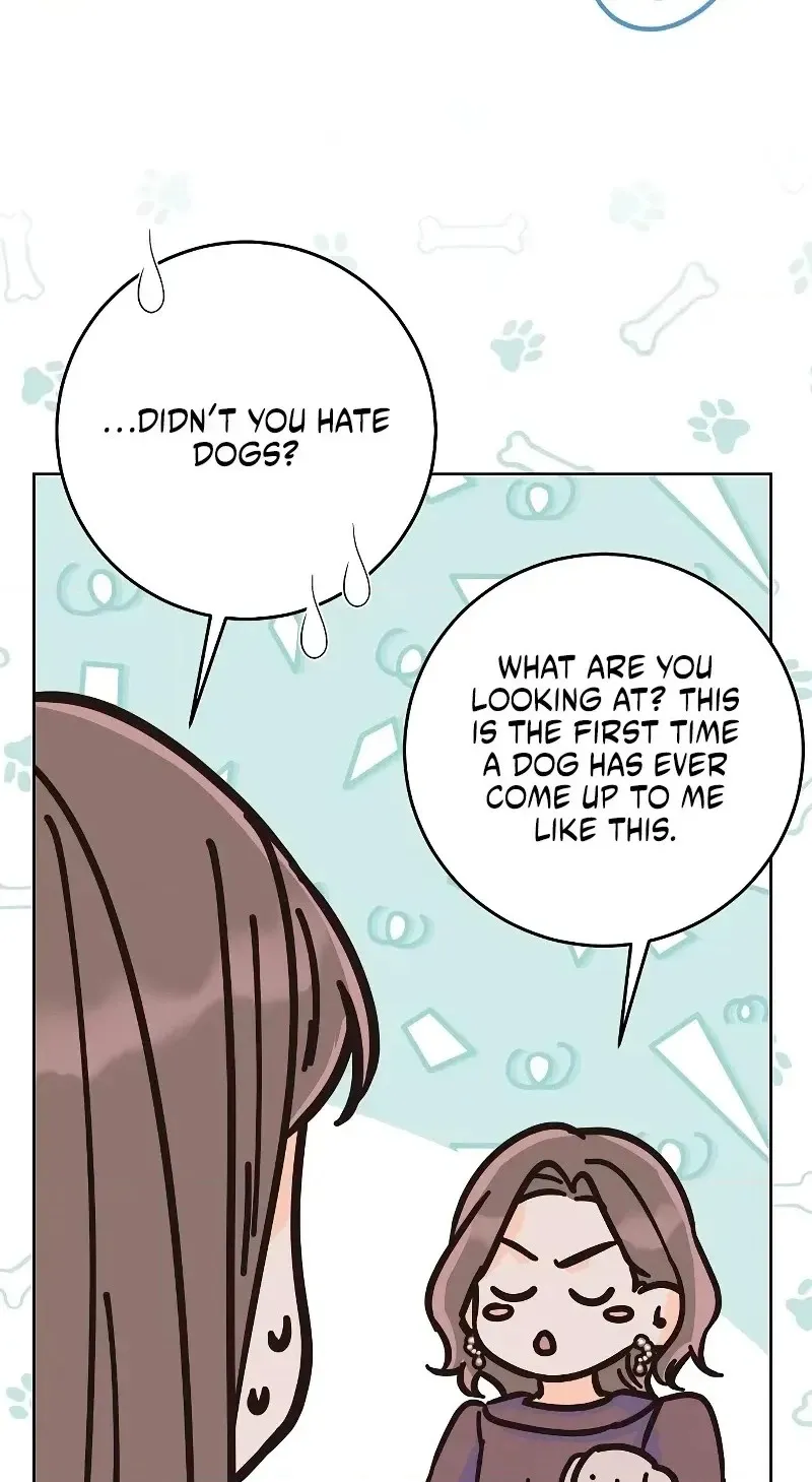 Read Spring Fever chapter 56 image 49 on Lezhin