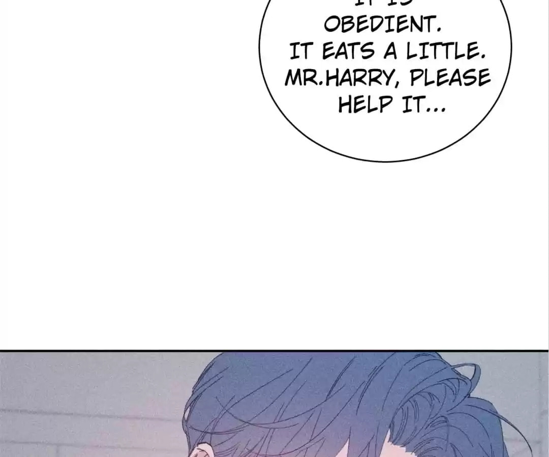 Read Spring Is Coming chapter 104 image 37 on Lezhin