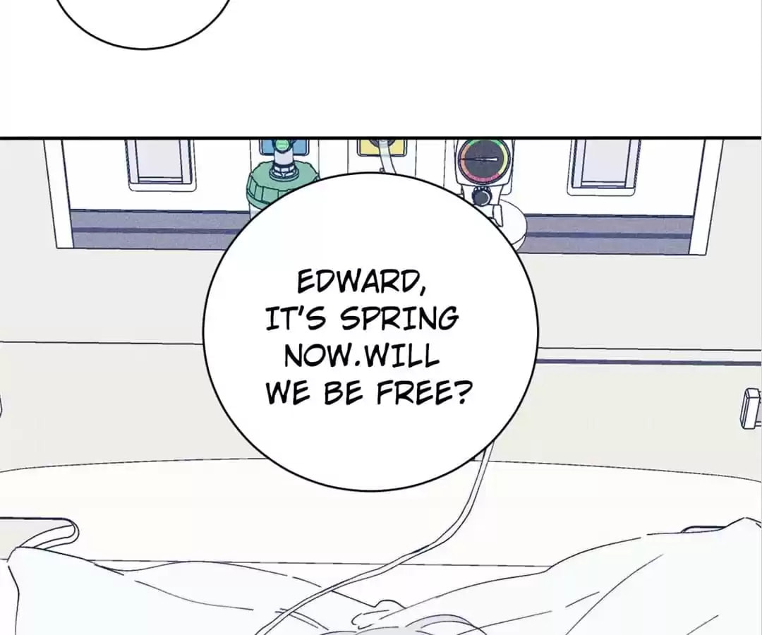 Read Spring Is Coming chapter 105 image 66 on Lezhin