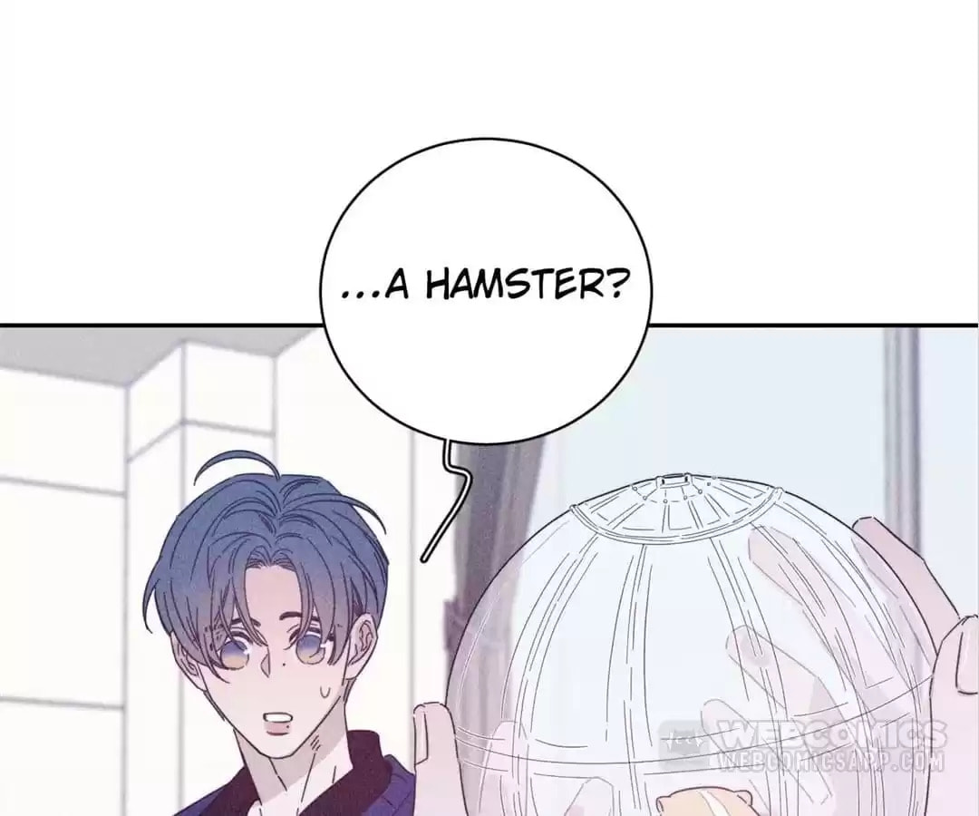 Read Spring Is Coming chapter 68 image 46 on Lezhin