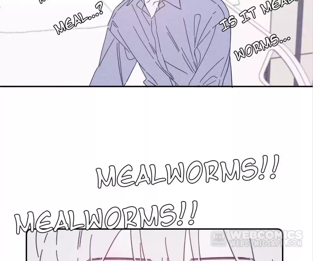 Read Spring Is Coming chapter 70 image 24 on Lezhin