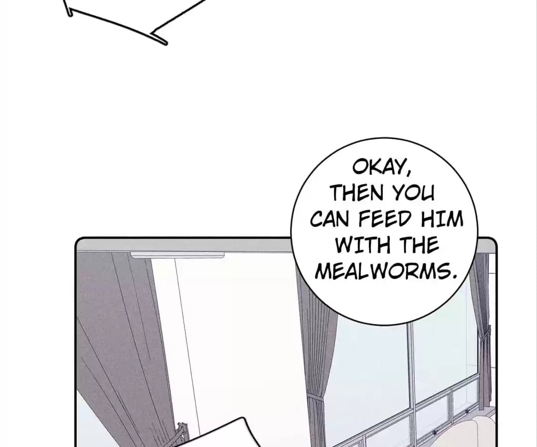 Read Spring Is Coming chapter 70 image 37 on Lezhin