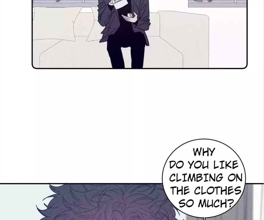 Read Spring Is Coming chapter 70 image 41 on Lezhin