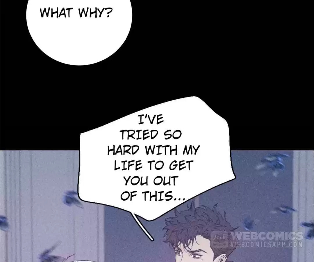Read Spring Is Coming chapter 99 image 103 on Lezhin
