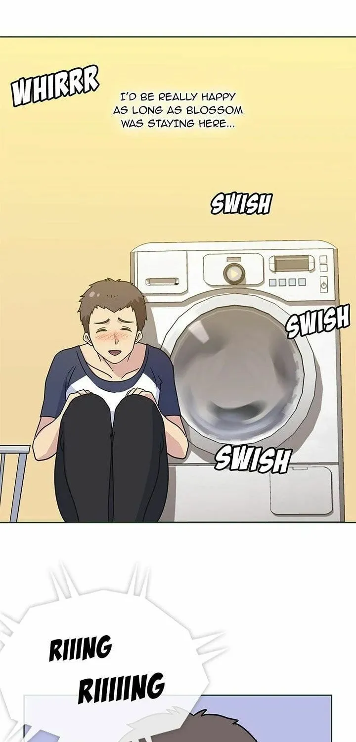 Read Springtime for Blossom chapter 12 image 5 on Lezhin
