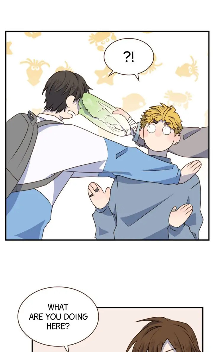 Spun Together Chapter 11 page 15 - 