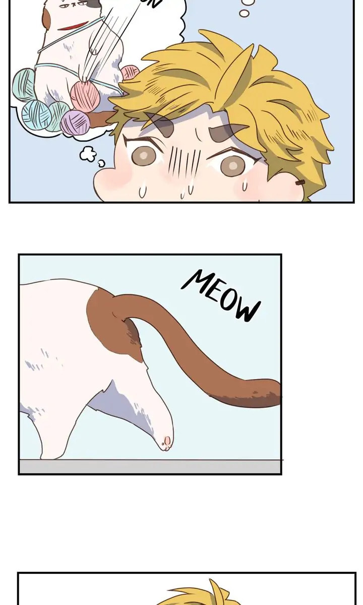 Spun Together Chapter 14 page 11 - 