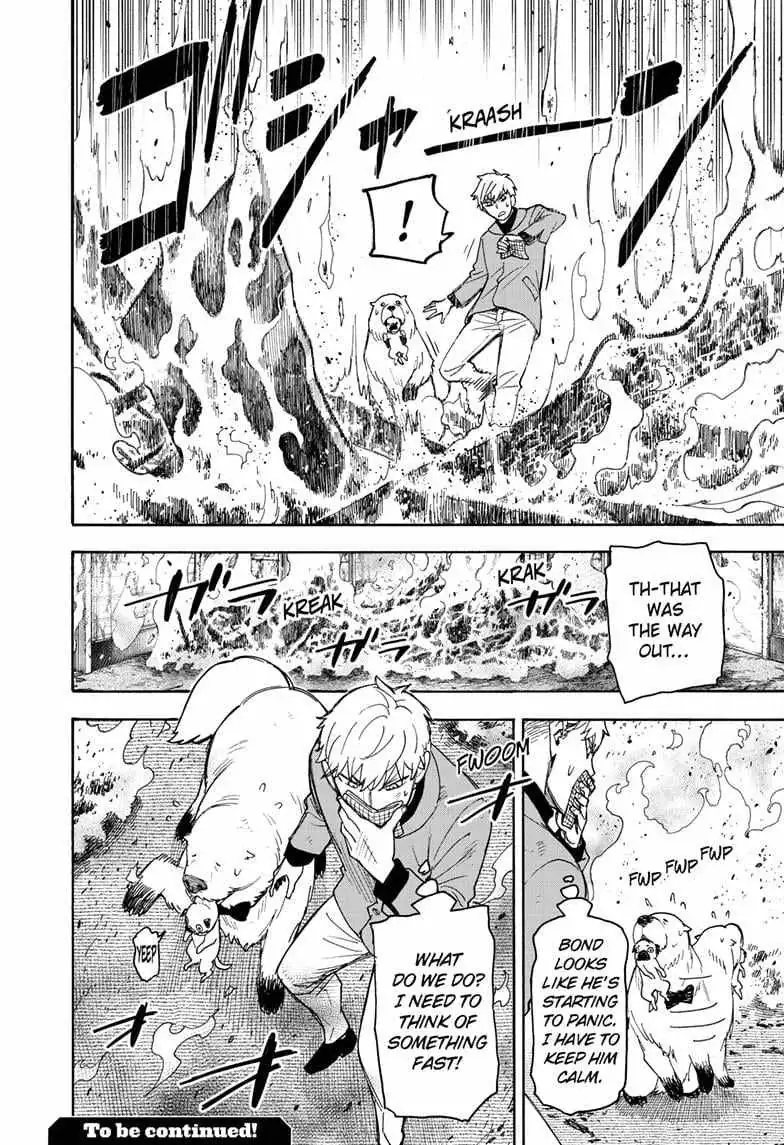 Read Spy×Family chapter 58.1 image 17 on Lezhin