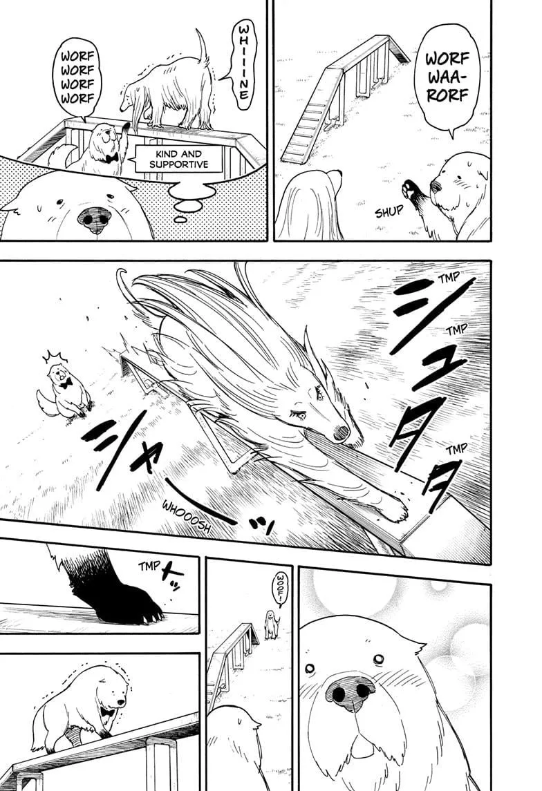 Read Spy×Family chapter 62.5 image 6 on Lezhin