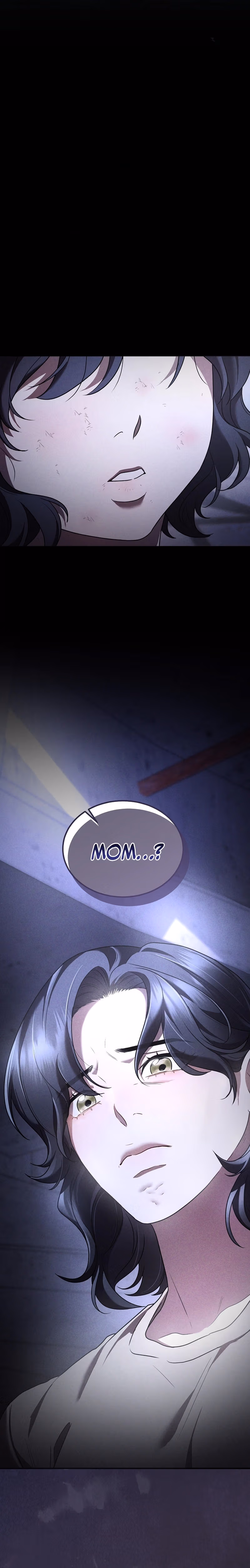 Read SSS-Class Regressor Has No Conscience chapter 13 image 14 on Lezhin
