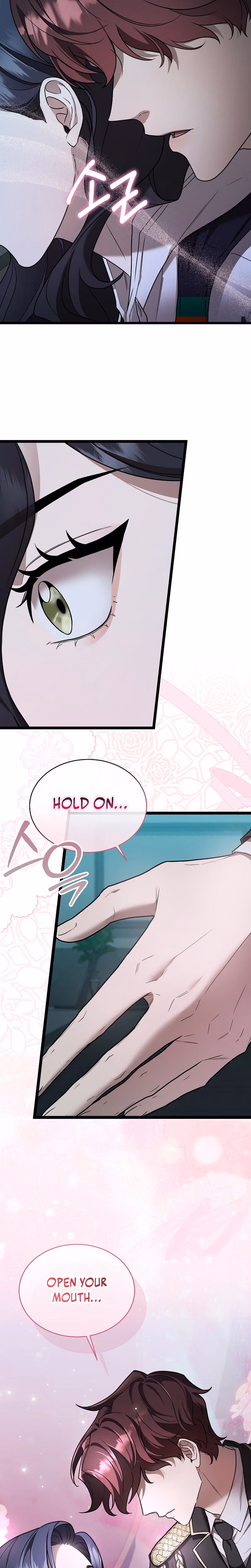 Read SSS-Class Regressor Has No Conscience chapter 5 image 13 on Lezhin
