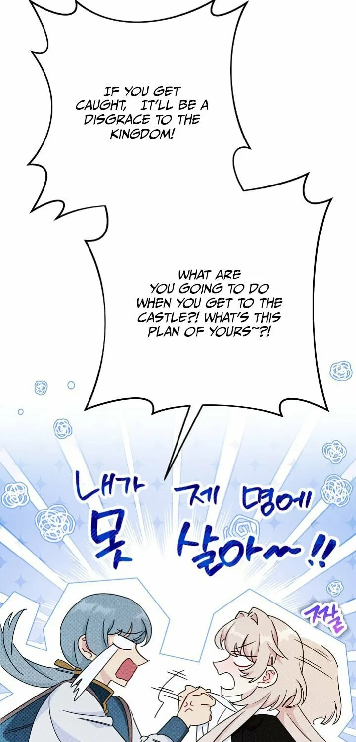 SSS-Class Romance Short Stories Chapter 4 page 33 - 