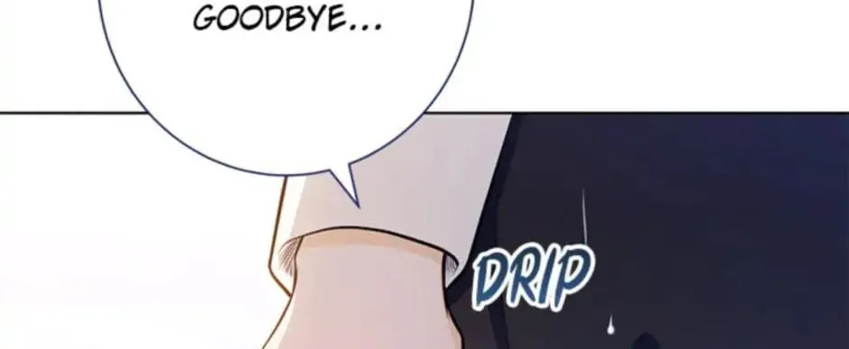 Read SSS Romance Collection chapter 17 image 230 on Lezhin