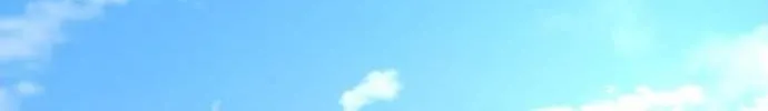 Star Ginseng Store Chapter 154 page 84 - 