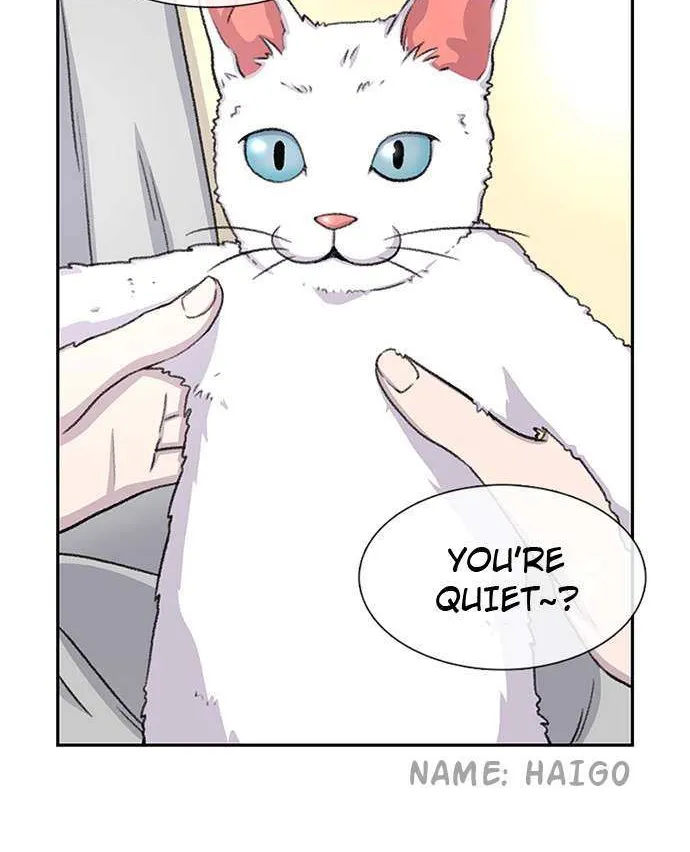 Star Ginseng Store Chapter 66 page 2 - 