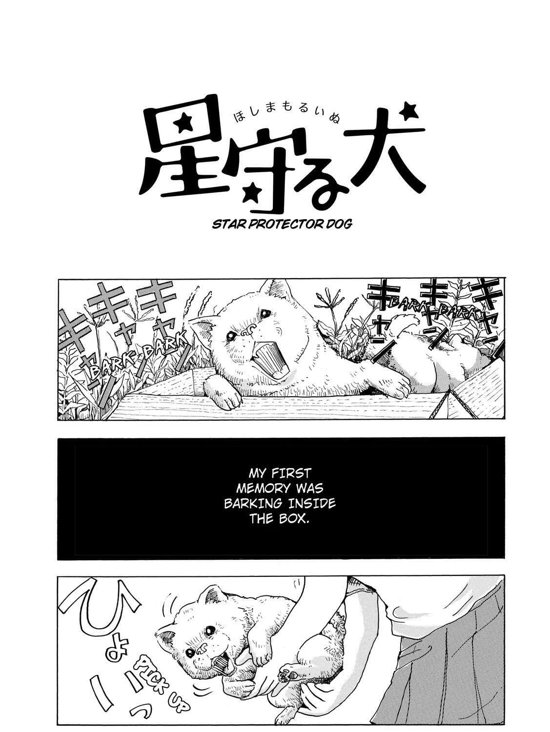 Read Stargazing Dog chapter 1 image 12 on Lezhin
