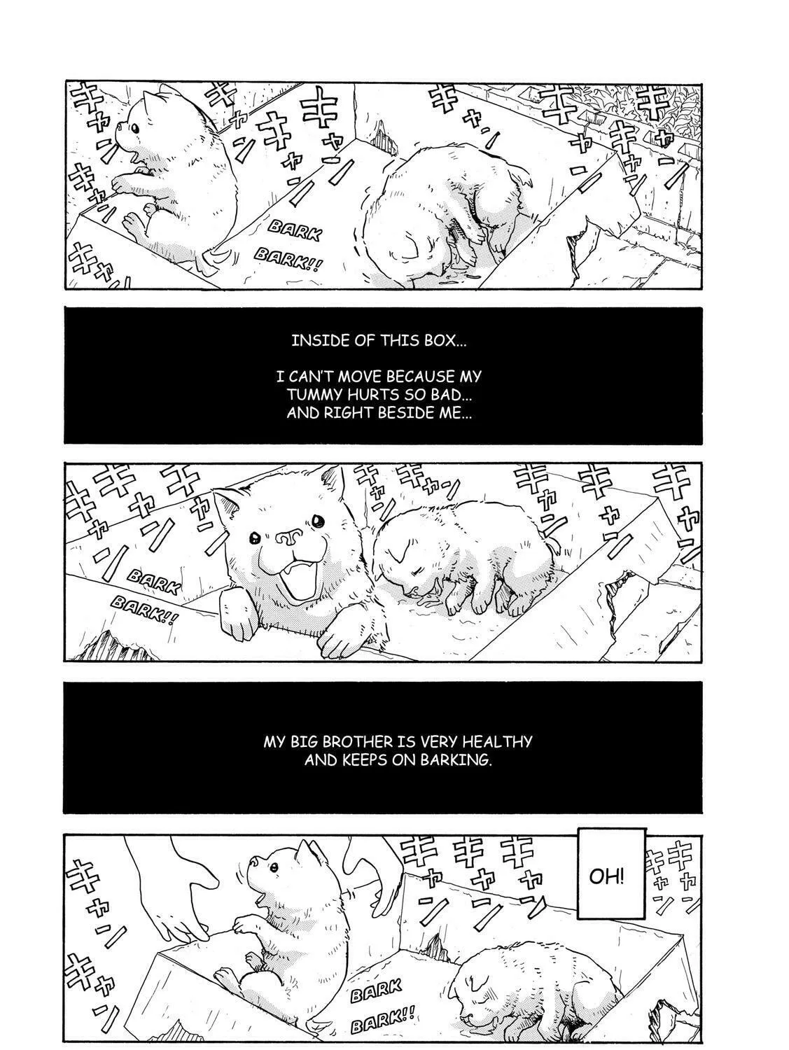 Read Stargazing Dog chapter 3 image 14 on Lezhin
