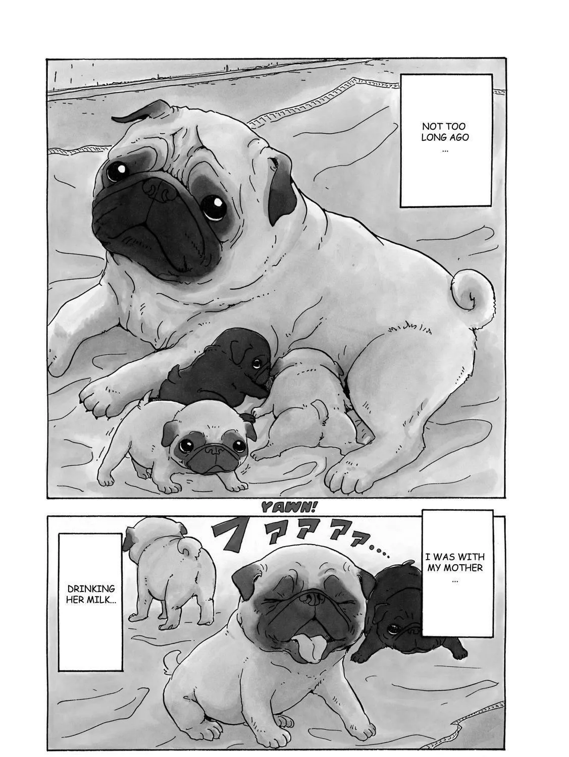 Read Stargazing Dog chapter 4 image 8 on Lezhin