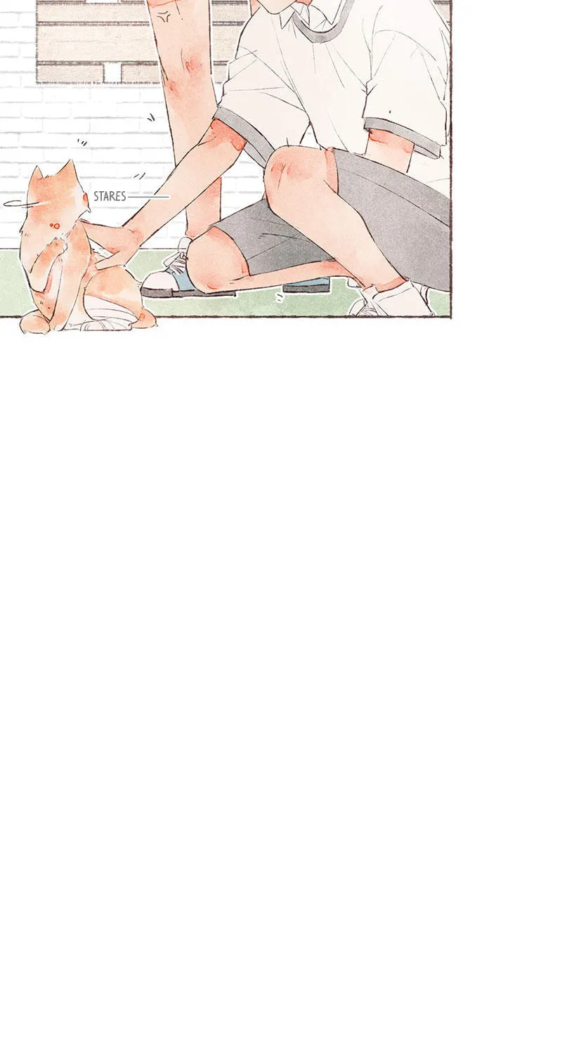 Read Starting With a Lie (Colored) chapter 21 image 74 on Lezhin