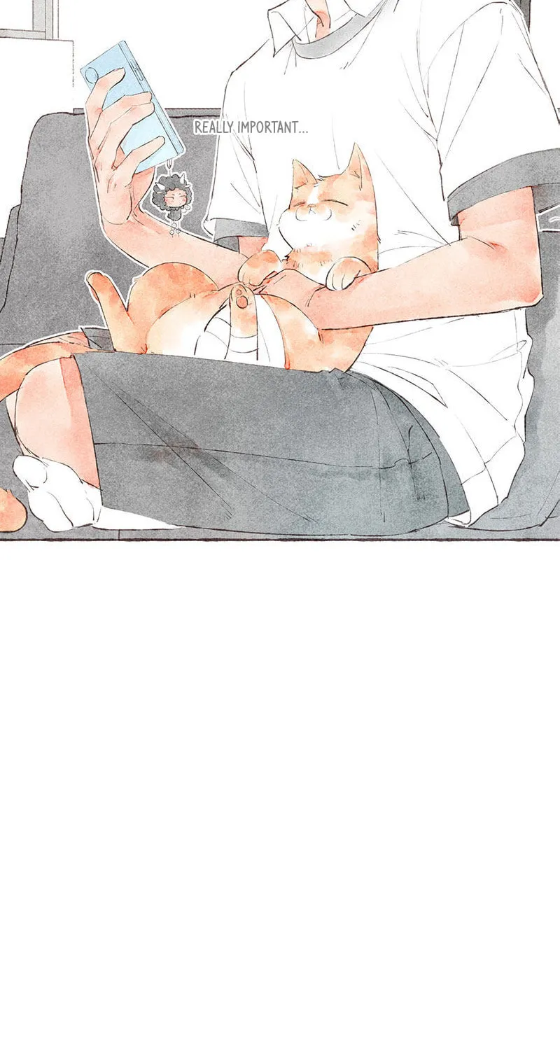 Read Starting With a Lie (Colored) chapter 22 image 27 on Lezhin