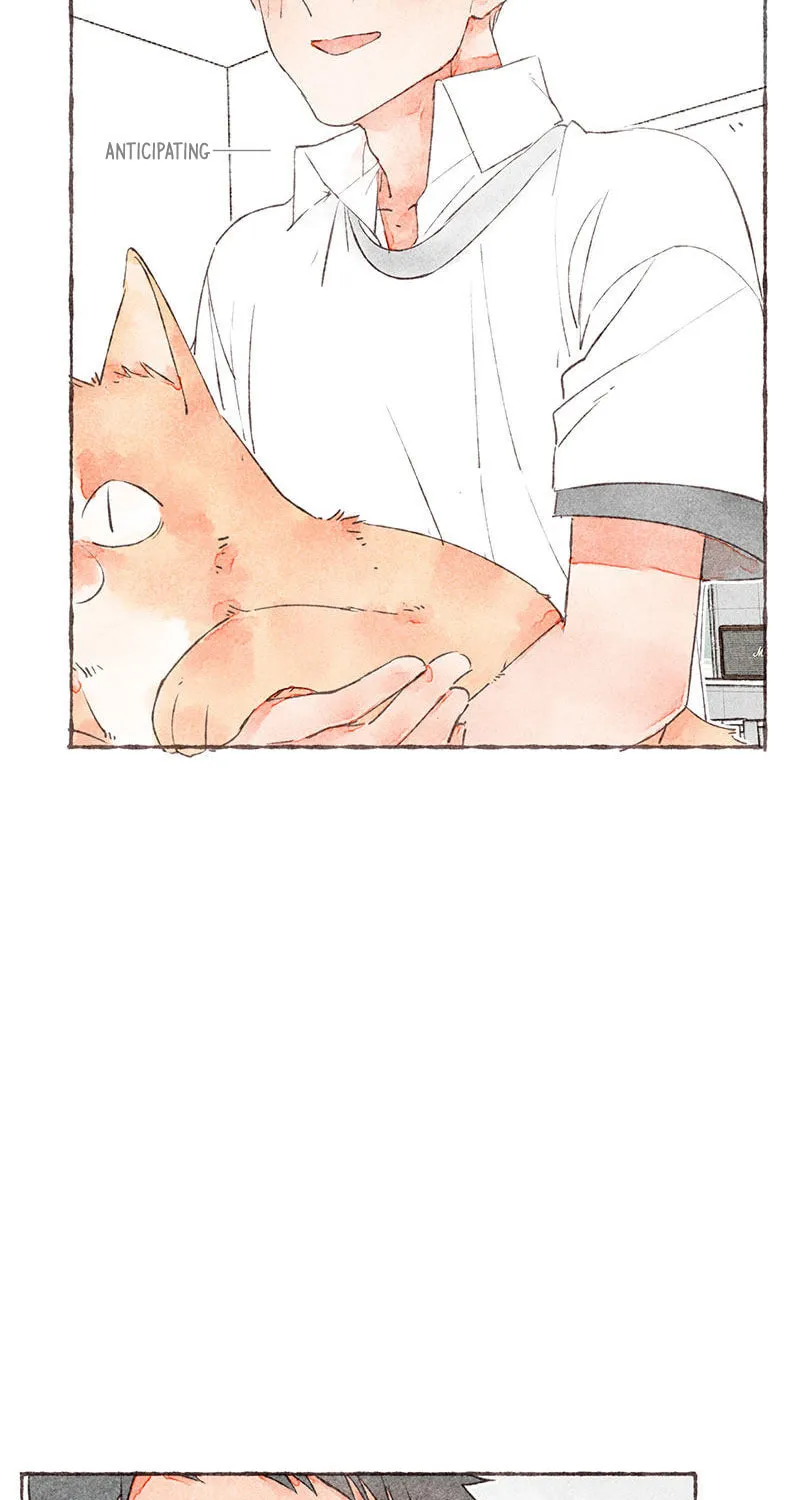 Read Starting With a Lie (Colored) chapter 22 image 66 on Lezhin