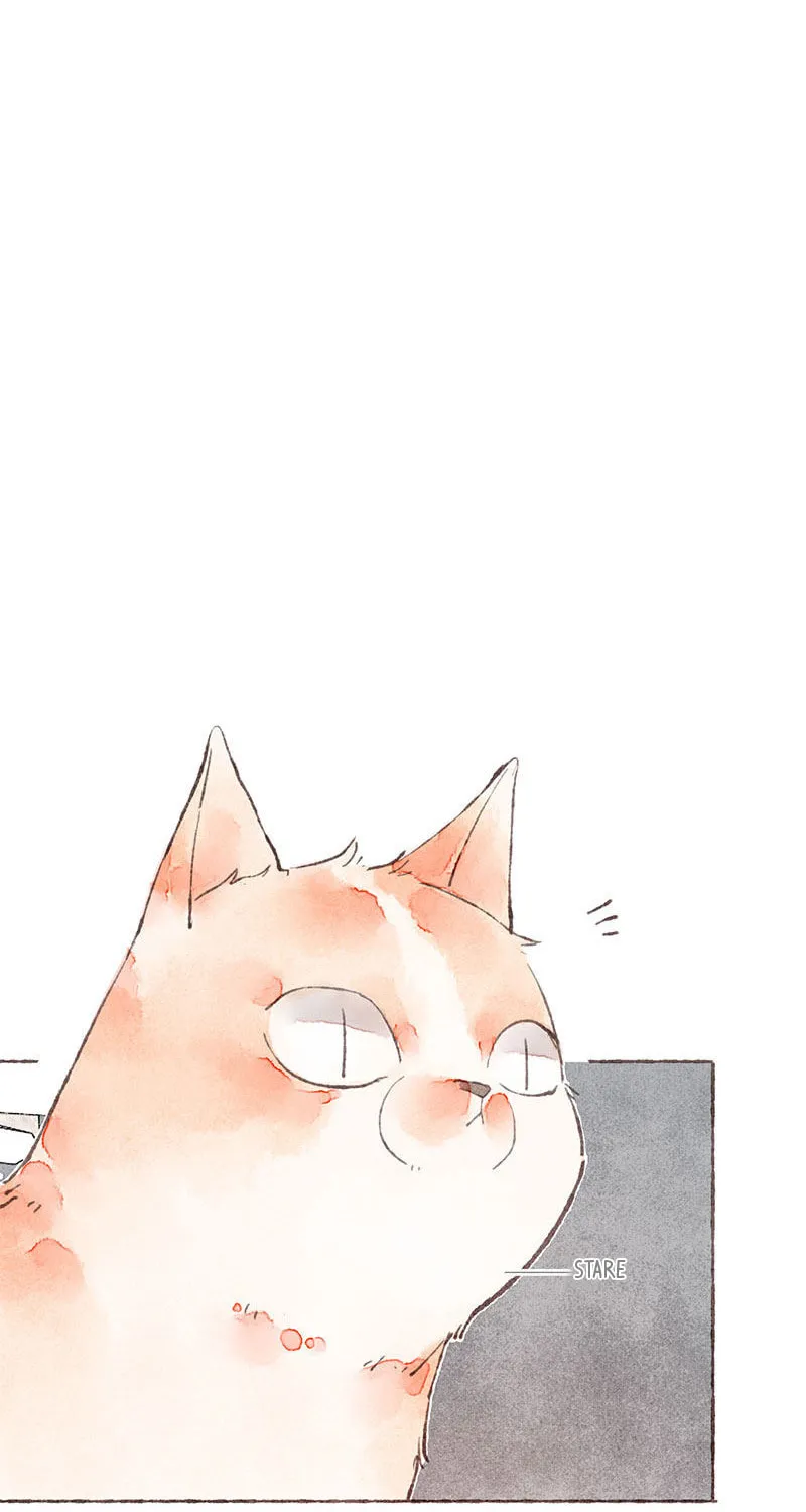 Read Starting With a Lie (Colored) chapter 23 image 14 on Lezhin