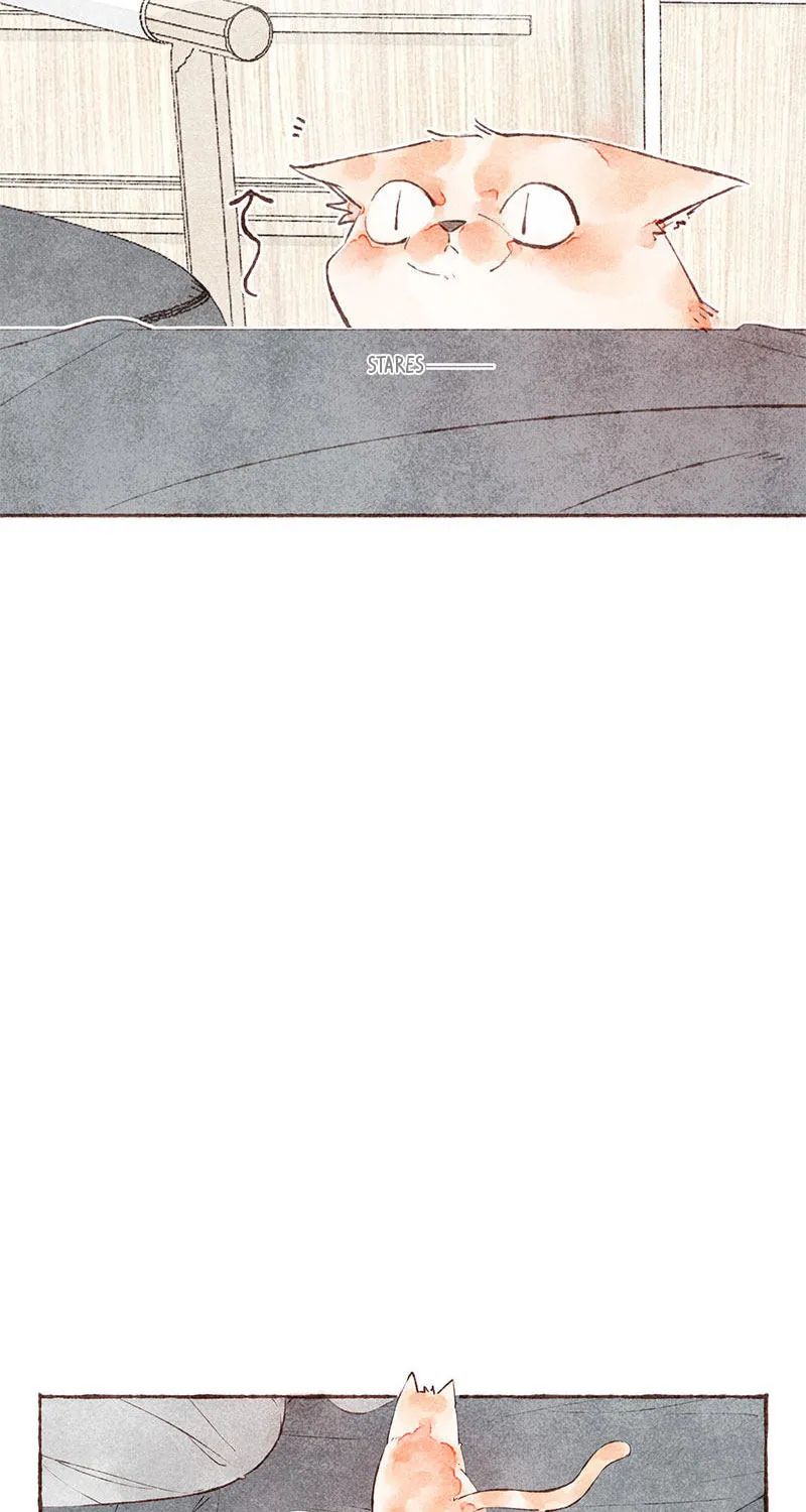 Read Starting With a Lie (Colored) chapter 23 image 3 on Lezhin