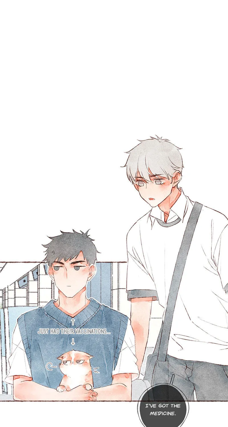 Read Starting With a Lie (Colored) chapter 23 image 31 on Lezhin