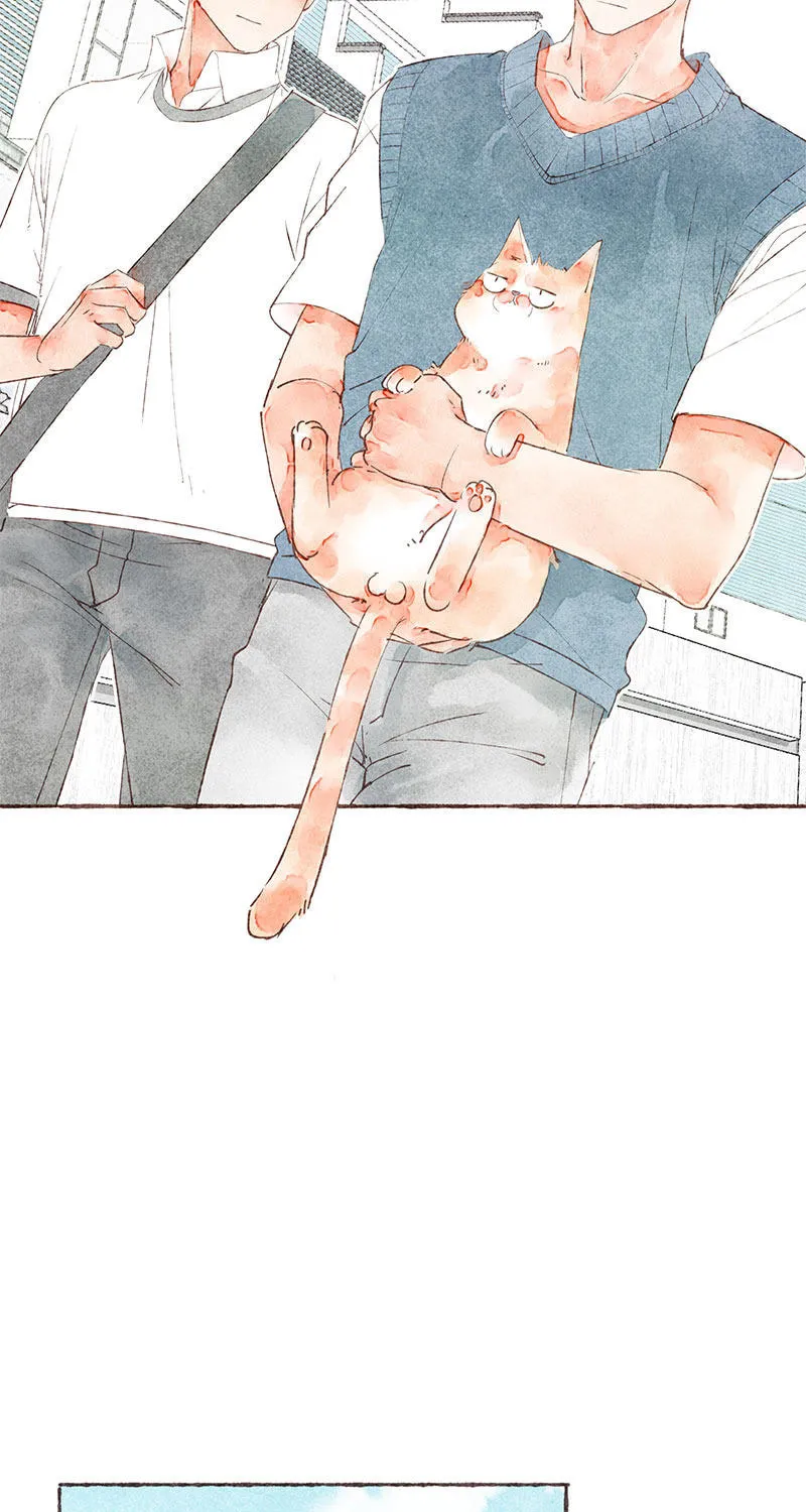 Read Starting With a Lie (Colored) chapter 23 image 37 on Lezhin