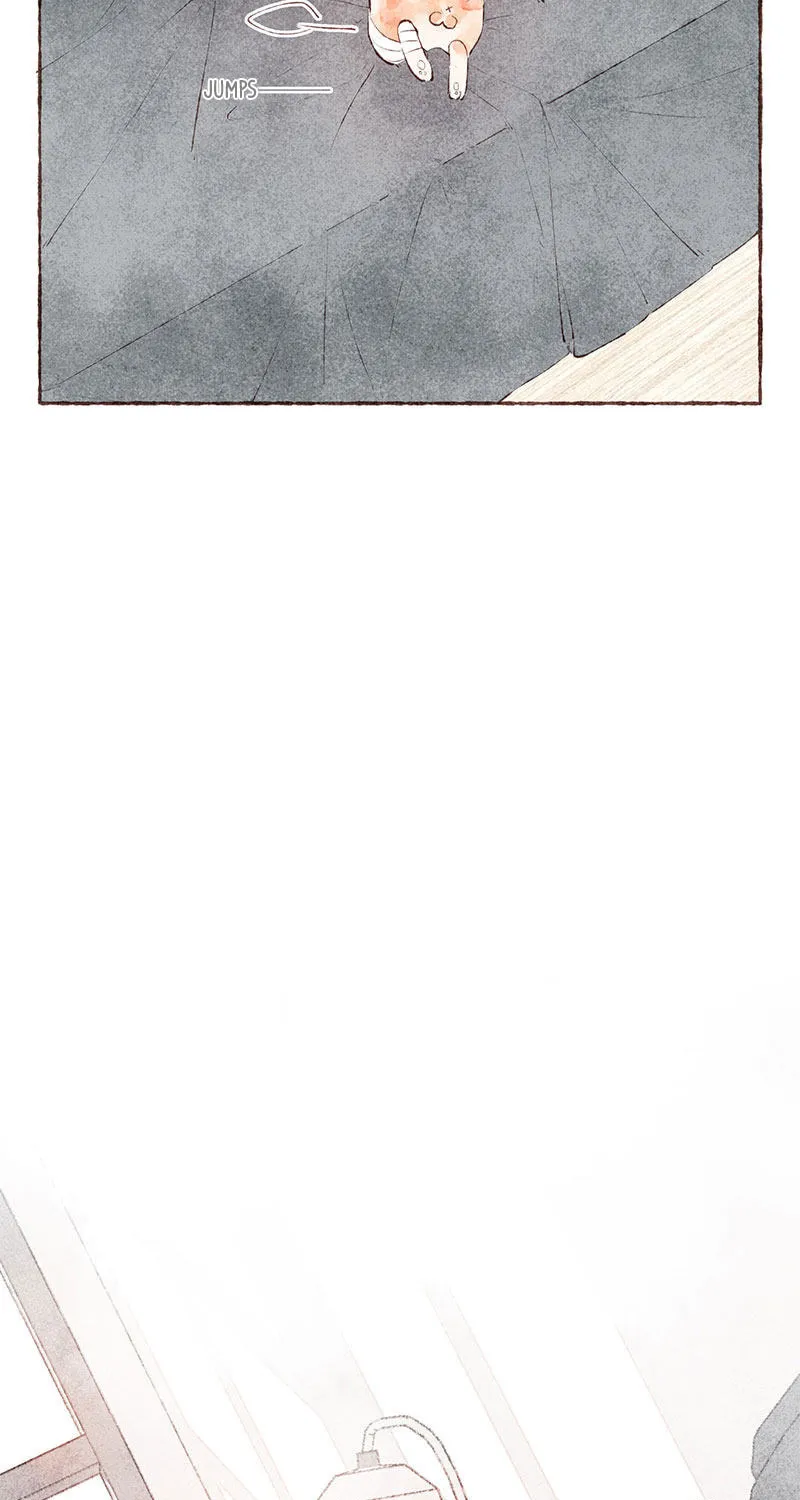 Read Starting With a Lie (Colored) chapter 23 image 4 on Lezhin